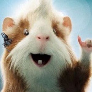 Meet your Posher, Sean